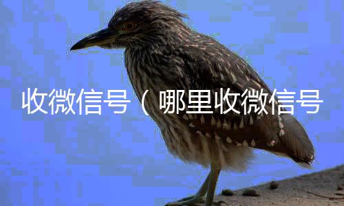 收微信号回收微信秒结（哪里收微信号）